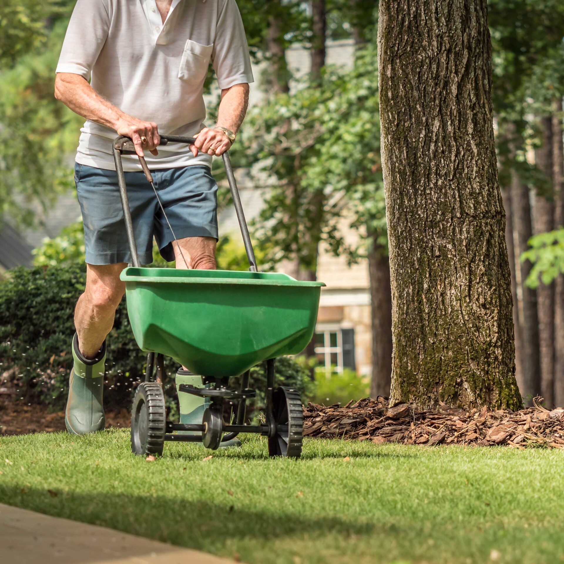 A person in boots pushes a green fertilizer spreader on a well-kept lawn, surrounded by trees and a residential building in the background.