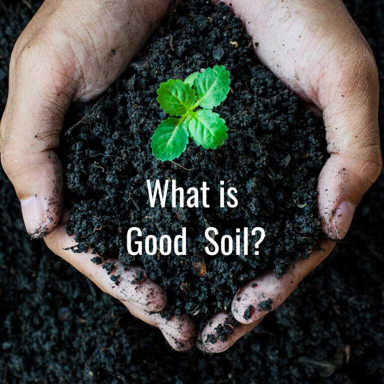 The Importance of Good Soil for a Healthy Garden | Fairgreen Sod, Markham