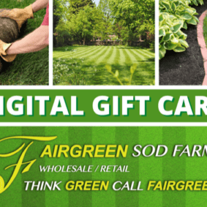Gift card featuring Fairgreen Sod Farms branding, with images of sod installation, a lush lawn, and gardening tools, emphasizing a green theme.