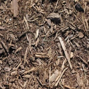 Close-up of dry, brown mulch composed of wood chips and small twigs. Organic garden material for soil improvement and moisture retention in landscapes.