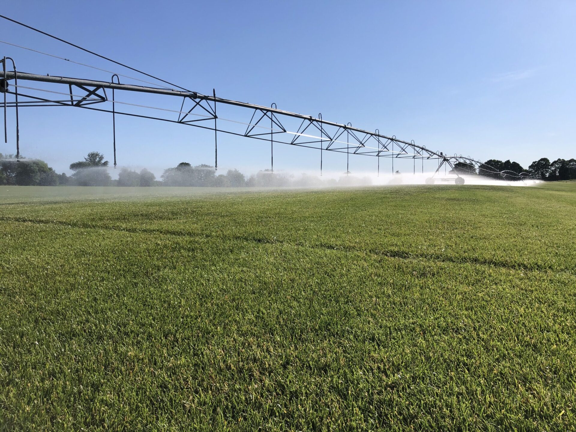 A lush green field under a clear blue sky is irrigated by a long sprinkler system, with trees lining the distant horizon.