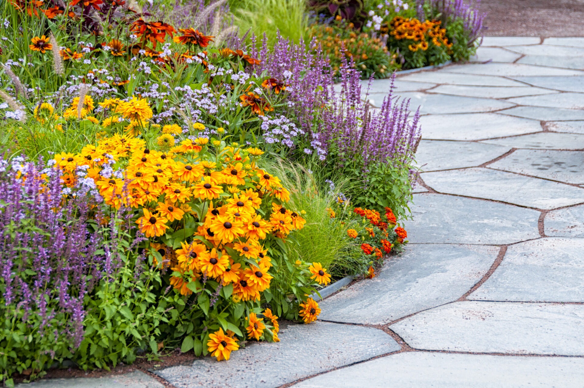 A vibrant garden with yellow, orange, and purple flowers lines a curved stone pathway, providing a colorful and serene landscape scene.