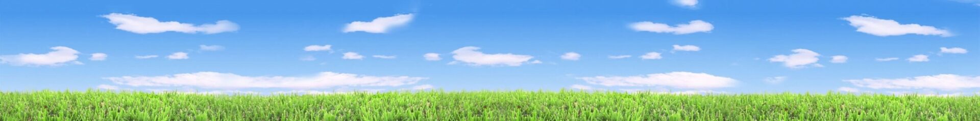 A field of lush green grass under a clear blue sky with scattered fluffy white clouds, no landmarks or people visible.