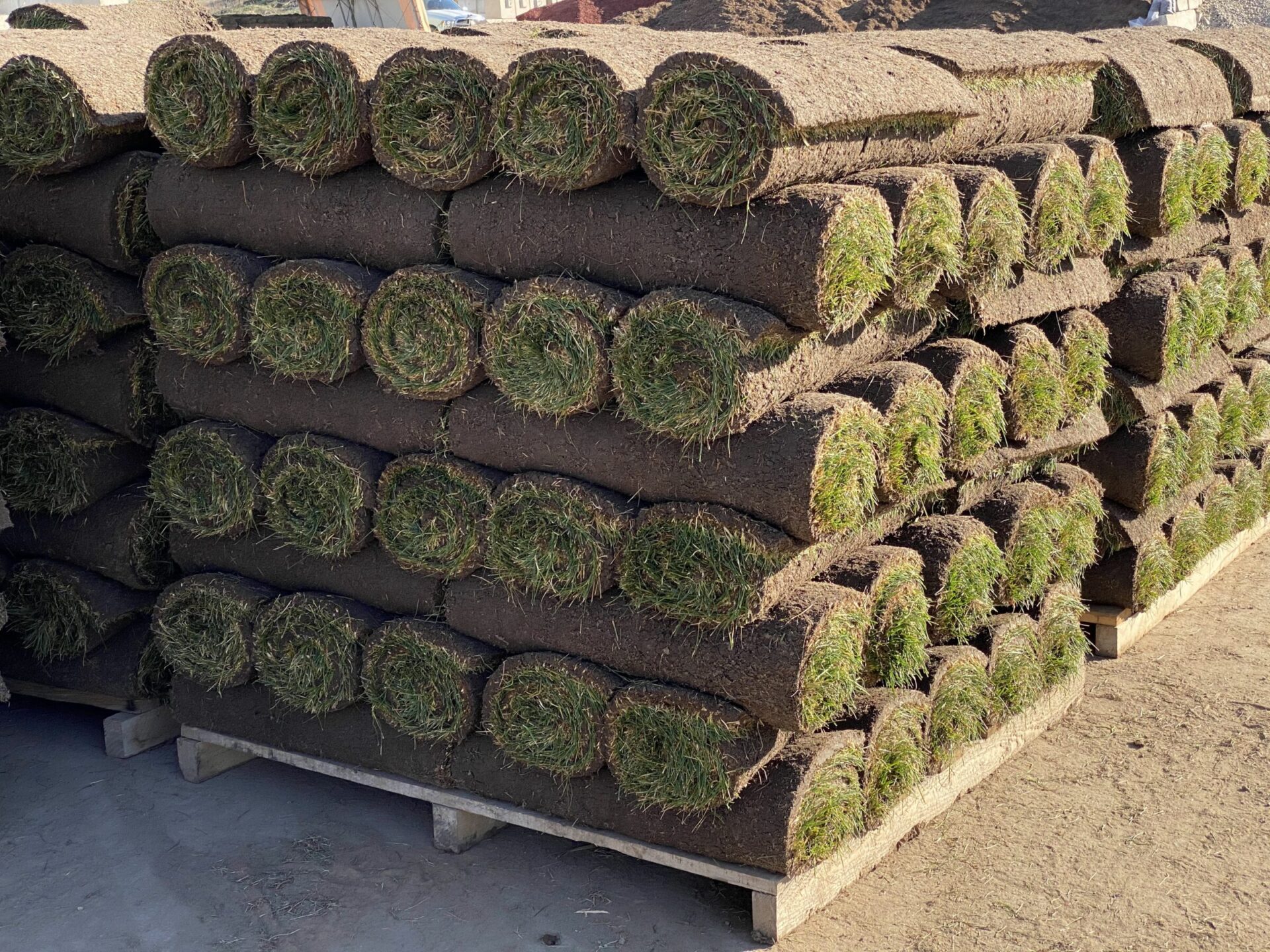 Stacks of rolled grass sod arranged on wooden pallets, ready for landscaping use, displayed outdoors in a sunny setting.