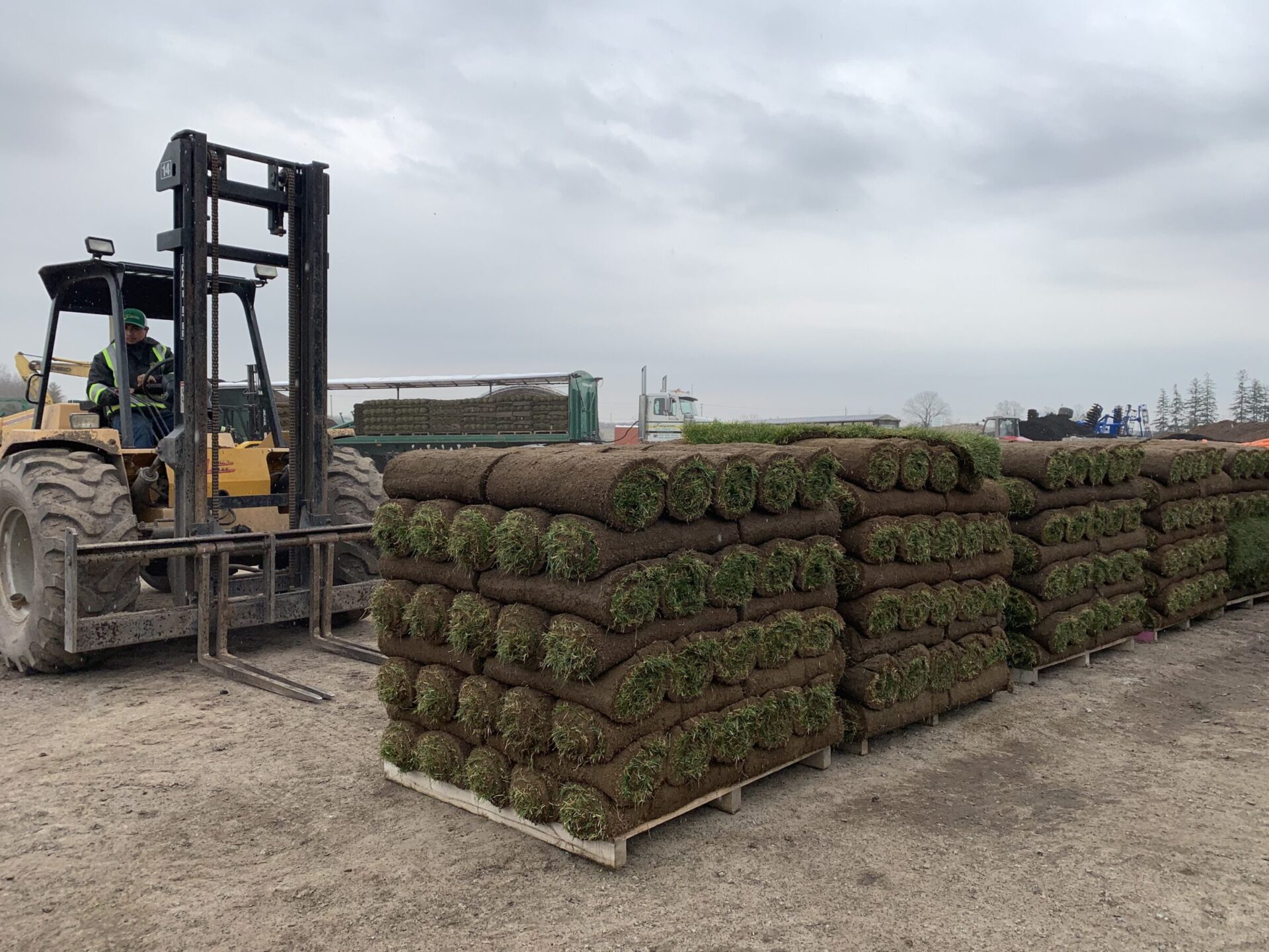 A person operates a forklift, moving pallets of rolled sod on a cloudy day at an outdoor industrial site.