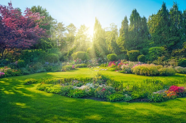 A beautiful garden and lawn with trees lining the background and sun streaming through.