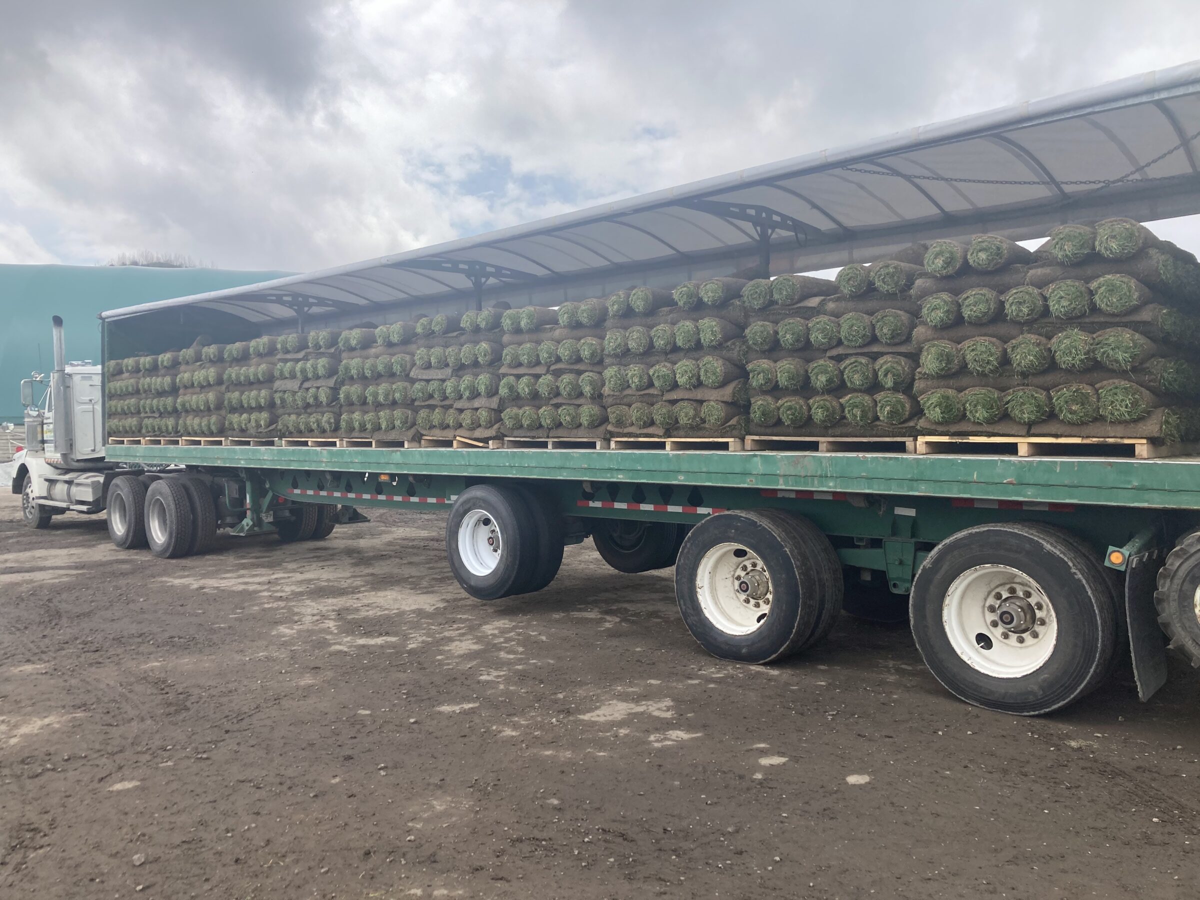 A truck with a covered trailer loaded with rolls of sod is parked on a dirt surface under a cloudy sky.