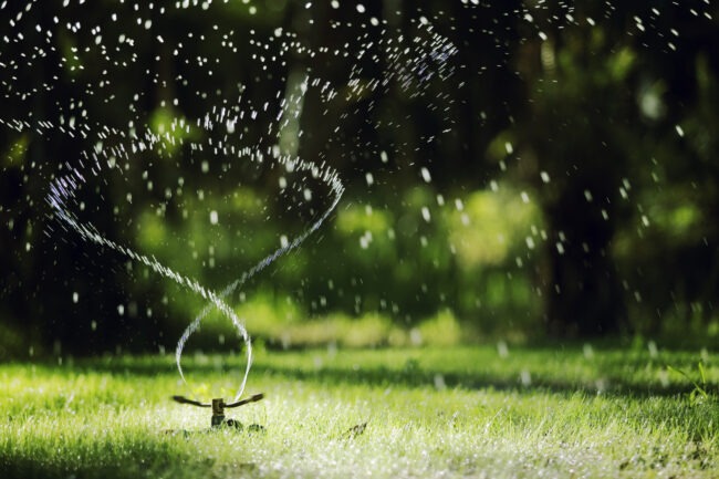 A garden sprinkler helping water a lawn and implement our summer lawn care checklist.