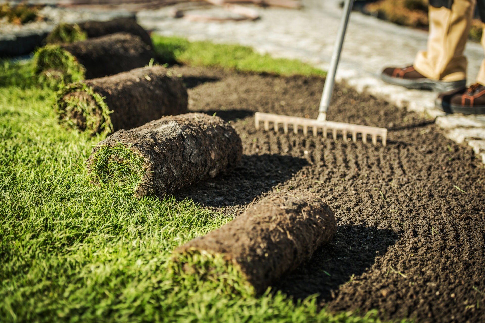 A person rakes soil while laying fresh sod rolls on a lawn, preparing the ground for new grass. Gardening equipment visible.