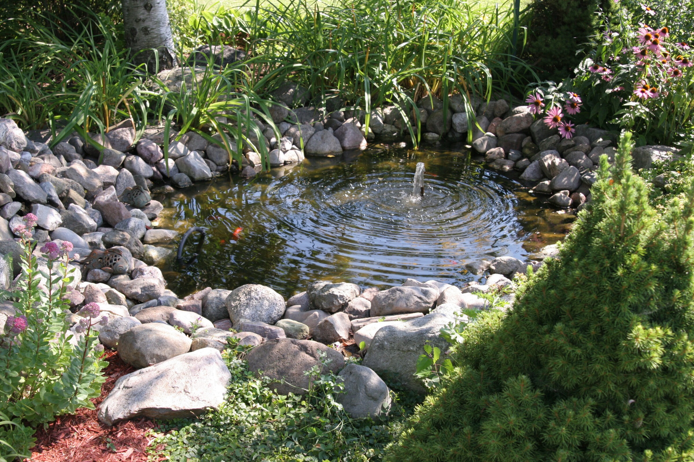 A small pond with a fountain, surrounded by rocks, lush greenery, and vibrant flowers, creates a tranquil garden scene.