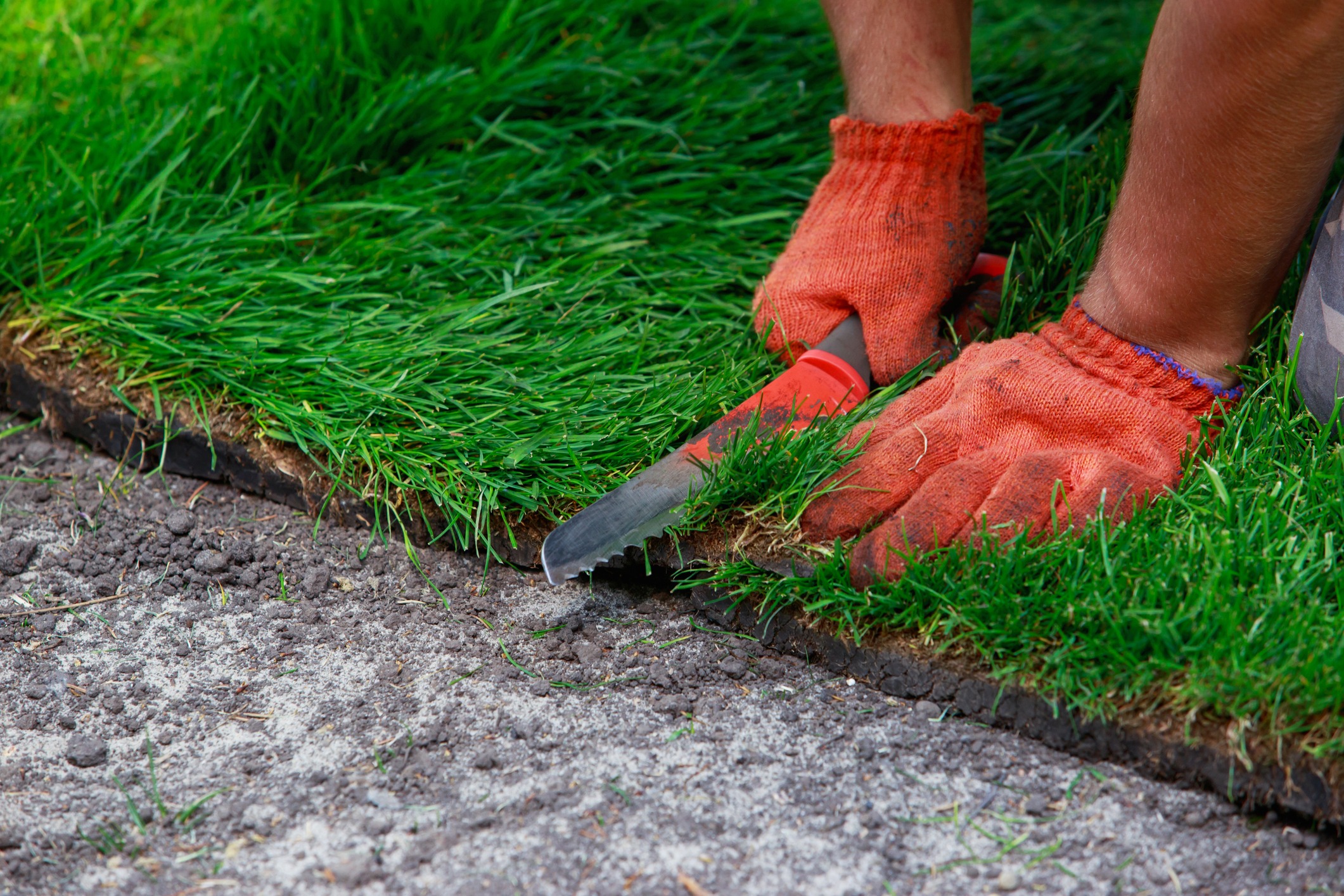 A person wearing orange gloves trims green turf with a knife, aligning it with soil for landscaping.