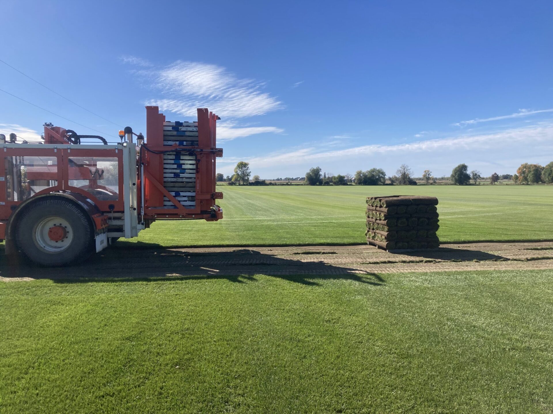 A pallet of freshly cut sod in the field