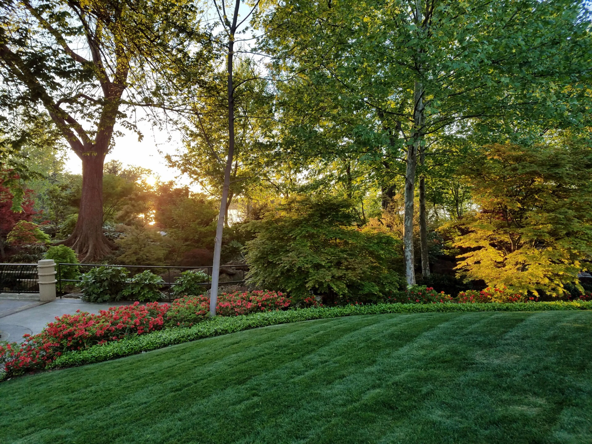 Sunset in a lush garden with vibrant flowers, green grass, and tall trees. Peaceful and picturesque natural setting. No people visible.