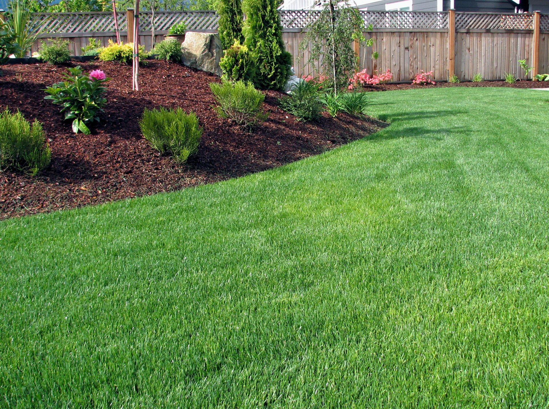 A beautiful fresh green colored grass area as a garden lawn part of a sunken garden surrounded by flowerbeds filled with plants and trees.