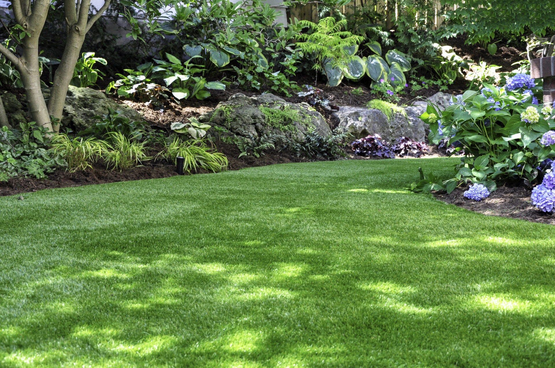 Lush garden scene with vibrant green lawn, colorful hydrangeas, and diverse foliage, creating a tranquil, natural oasis. No people or landmarks visible.