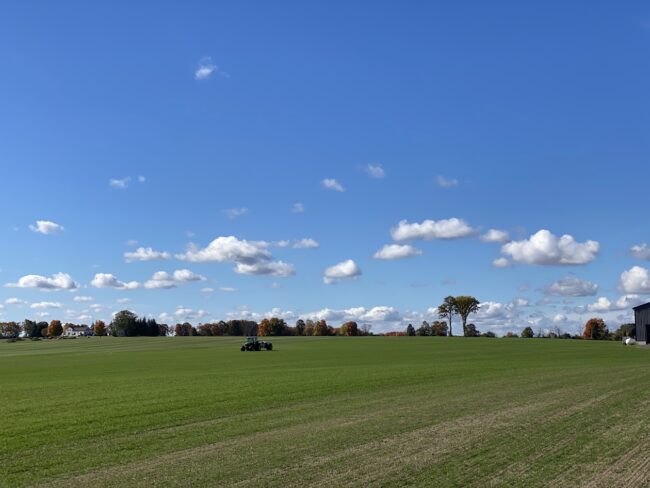 An open field under a blue sky with some clouds after going through its spring lawn care checklist.
