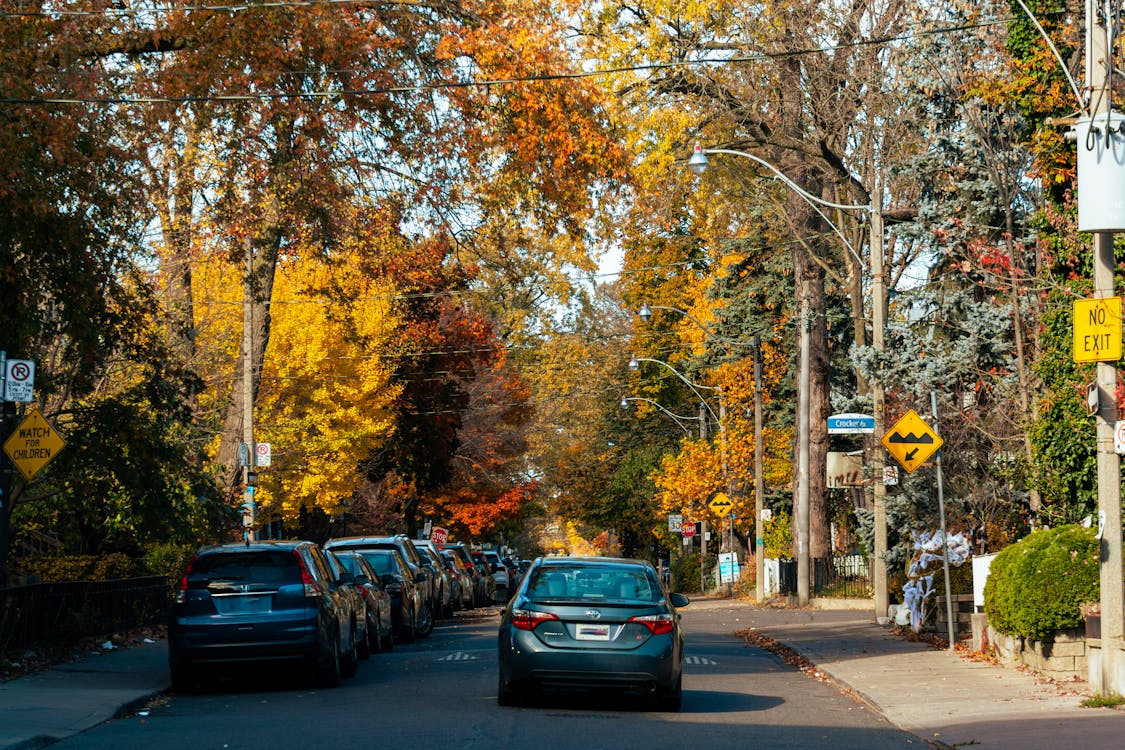 A street ready for help with Fall lawn care in Toronto.