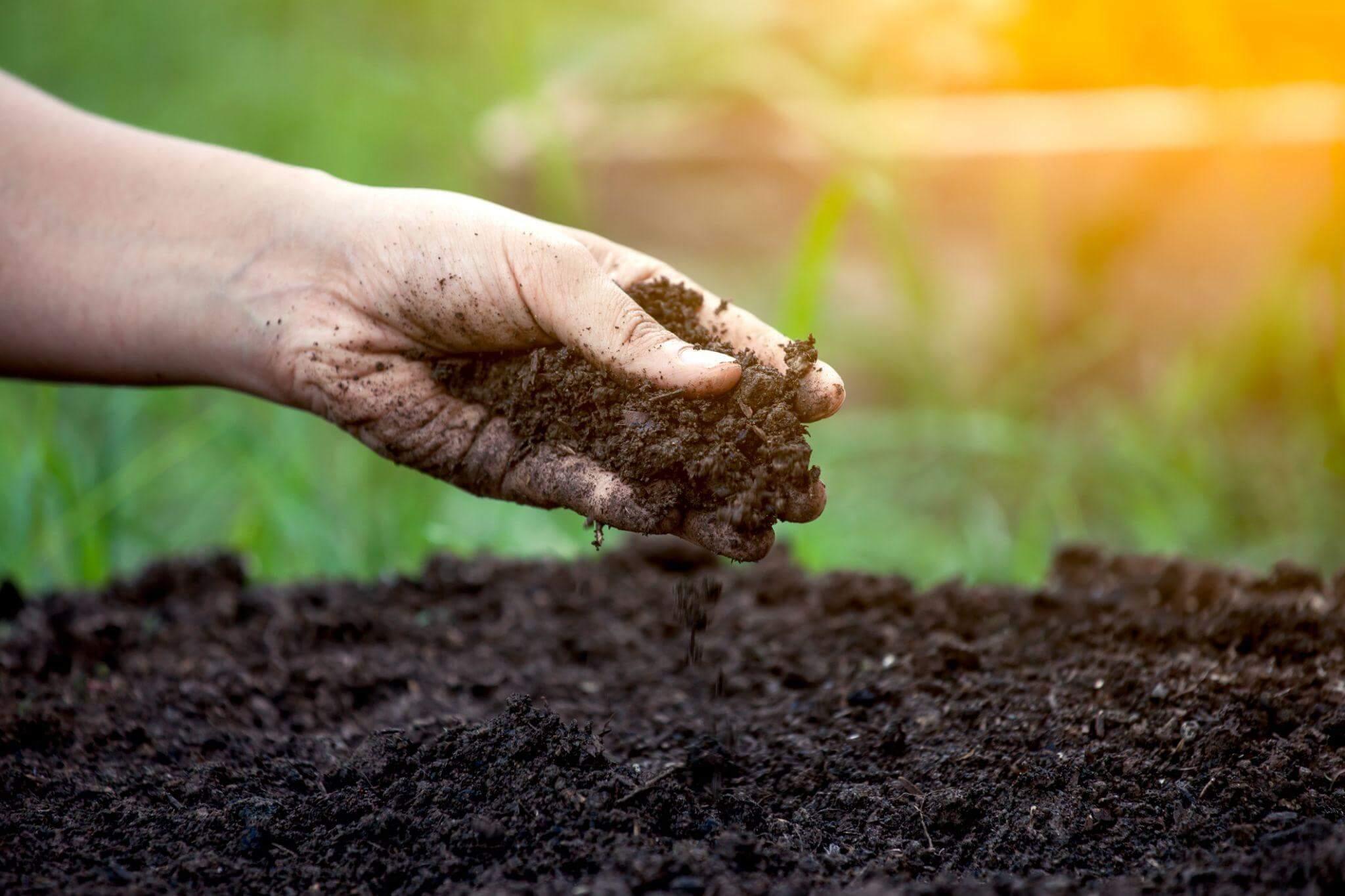 Person checking soil texture for sod installation
