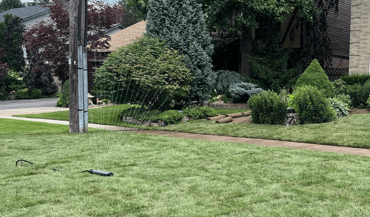 A garden sprinkler waters a lush, green lawn surrounded by trees and bushes, with rolled turf visible near a residential house.