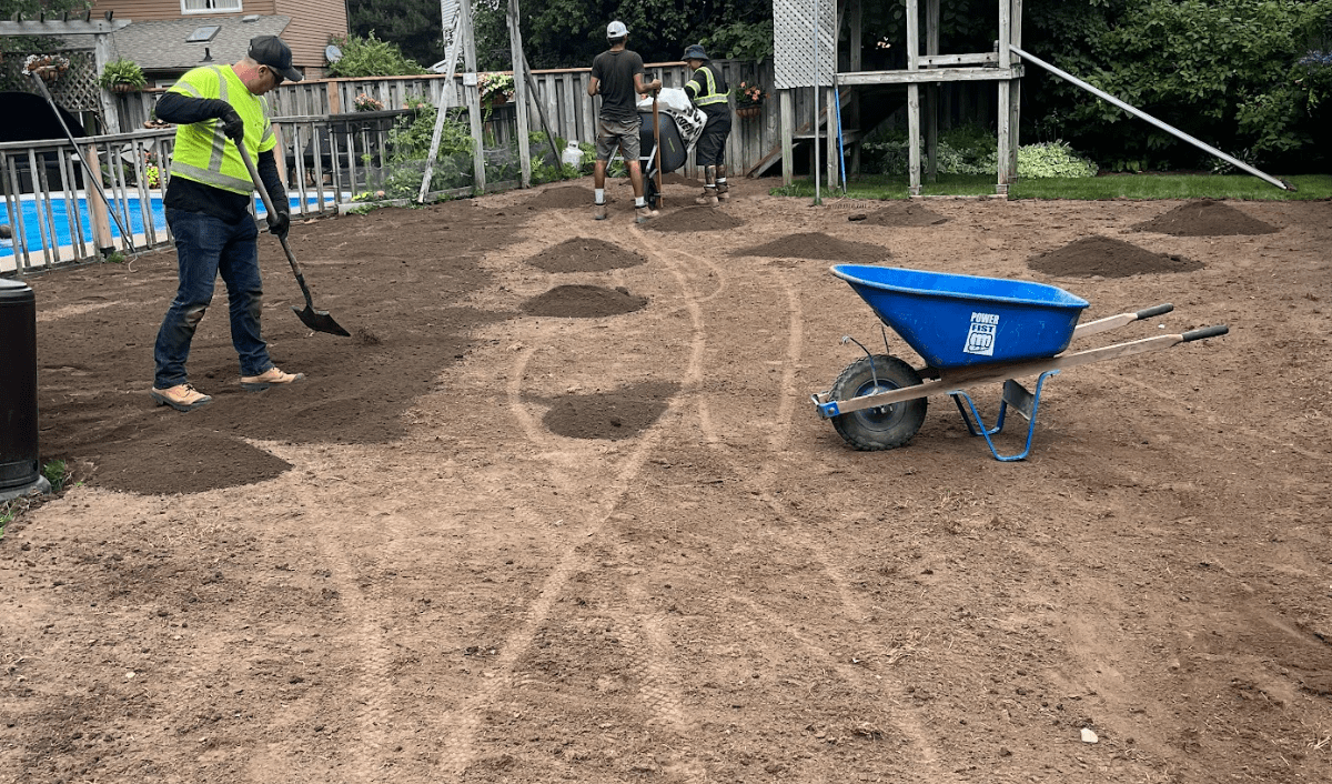 Three people working in a yard, spreading soil with shovels. A blue wheelbarrow is visible, along with wooden fencing and plants.