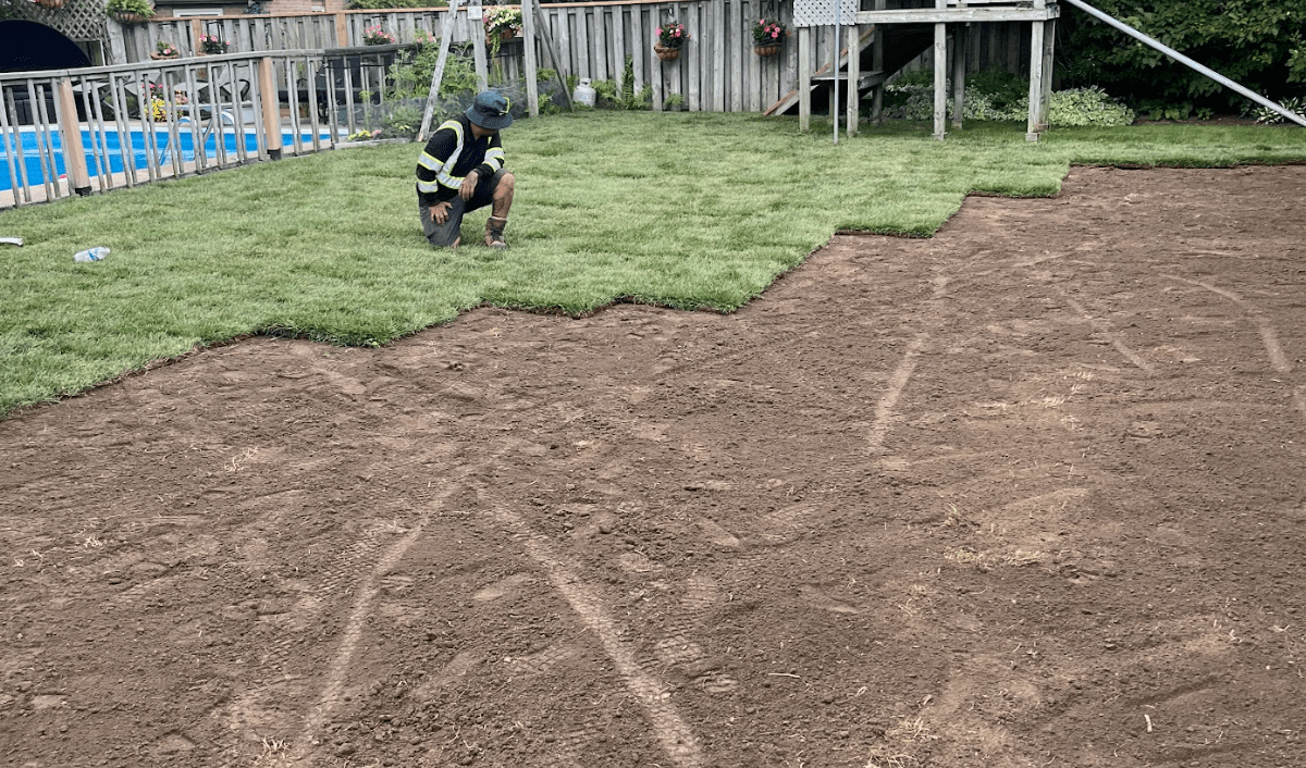 A person crouches on newly laid sod beside bare soil in fenced backyard with pool and swing set.